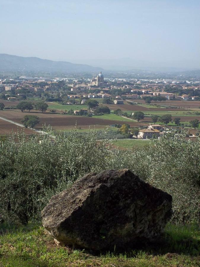 הוילה Casa Per Ferie Ulivo D'אסיסי מראה חיצוני תמונה